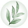 ES Logo mit Untertitel (2) ES Logo mit Untertitel (2)